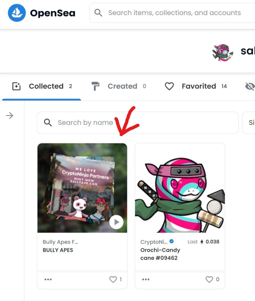 ＮＦＴとは何か？ 50代セミリタイア主婦が話題の「CNP」を買ってみたら、思いのほか楽しくなってきた話 - 桜畑の庭［人生のんびりブログ］